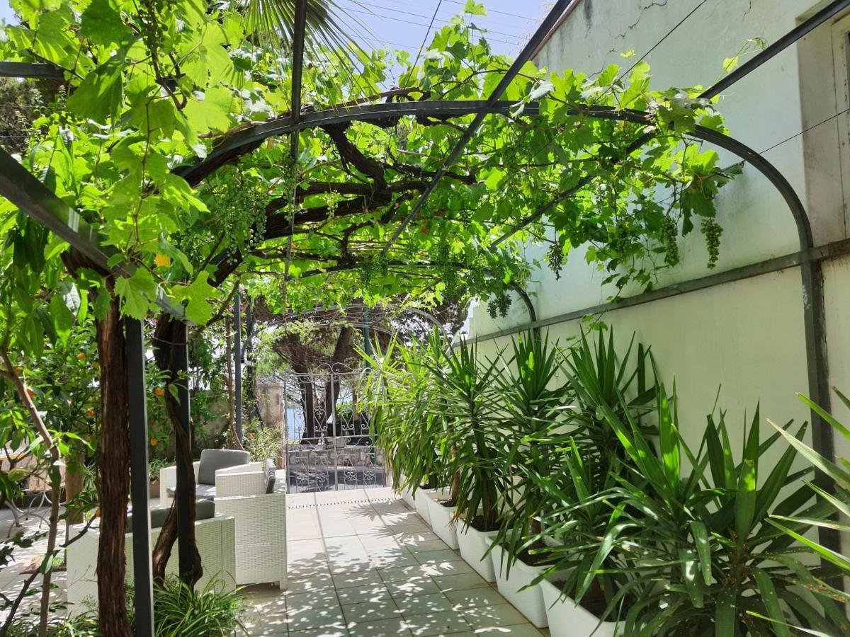 Hotel Nautilus กาปรี ภายนอก รูปภาพ