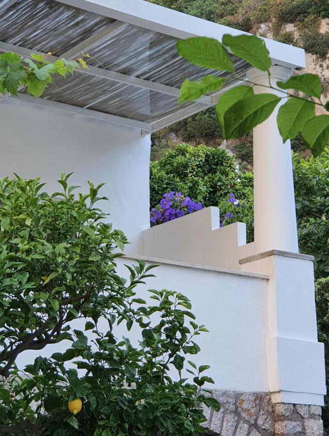 Hotel Nautilus กาปรี ภายนอก รูปภาพ