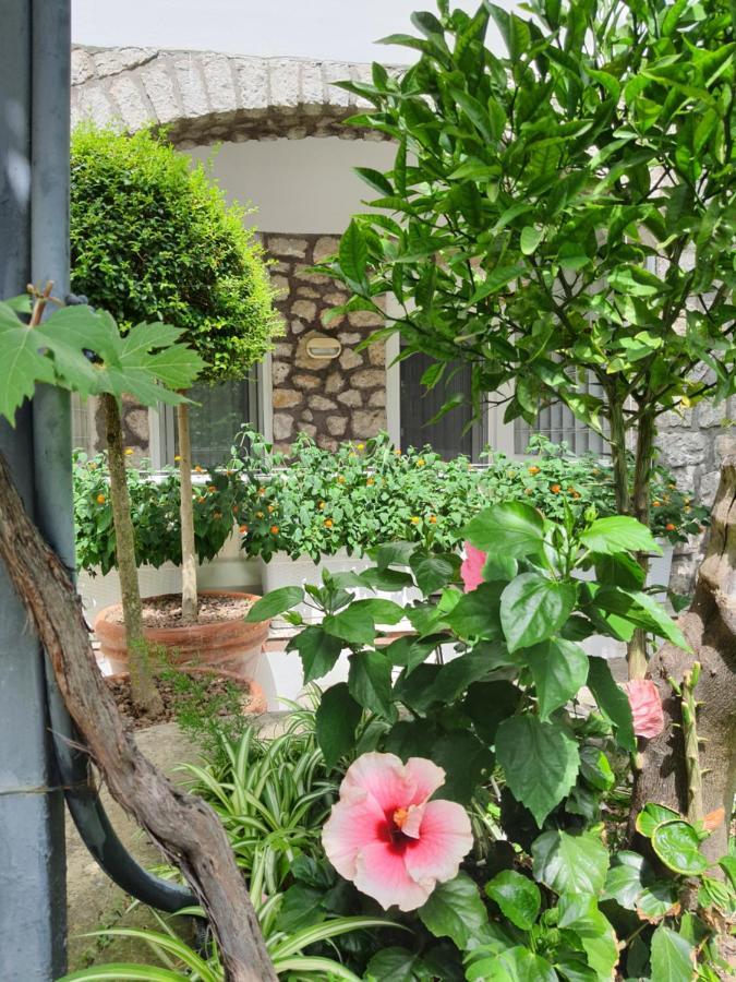 Hotel Nautilus กาปรี ภายนอก รูปภาพ