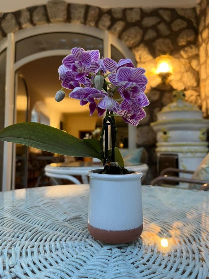 Hotel Nautilus กาปรี ภายนอก รูปภาพ