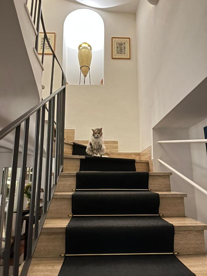Hotel Nautilus กาปรี ภายนอก รูปภาพ